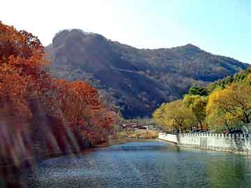 新澳天天开奖资料大全旅游团，天涯论坛重庆